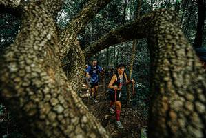 BIB: 
                            <button type="button" onclick="openModal(25701543)" class="btn btn-primary btn-sm float-right btn-popup" data-toggle="modal" data-target=".modal-high-quality">
                        <i class="fas fa-shopping-cart"></i> Add to Cart
                    </button>
                                            <button type="button" onclick="isThisMe(25701543, true)" class="btn btn-success btn-sm float-right btn-popup btn-isme hidden" data-toggle="tooltip" data-placement="bottom" title="นี่คือรูปของคุณใช่ไหม คลิกที่นี่เพื่อเอาเข้าอัลบั้ม">
                        <i class="fas fa-plus"></i> Add to album
                    </button>
                    <button type="button" onclick="isThisMe(25701543, false)" class="btn btn-warning btn-sm float-right btn-popup btn-isnotme hidden">
                        <i class="fas fa-ban"></i> Remove from album
                    </button>